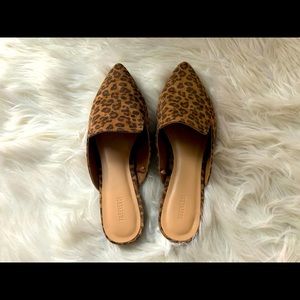 Cheetah mules